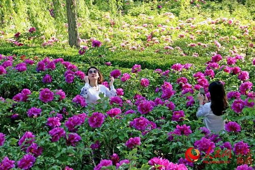 本地人偷笑外地人哭！2026年黄历说这天不宜出游