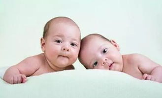 生双胞胎的风水布局图有何讲究？