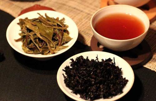 普洱茶山比酒吧还上头
