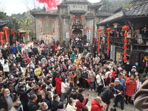 旅游市场？我看是屠宰场！