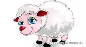 2026年冬季出生的属羊人运势如何？他们的运气会有哪些变化？