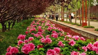 孟津会盟镇：一个意外的惊喜 (但路有点远…)