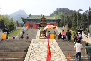 下午：登景忠山看老松， 大概15分钟后腿疼，需要休息30分钟再继续爬