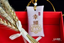 2025乙巳蛇年五月端午吉日乱弹