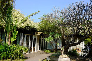 推荐理由：乔家小院私家菜(河西店)位于黑龙江南路245号,乔家小院为青岛老牌连锁餐厅,餐厅均在李沧商圈周边。 李沧区美食街,大大小小的商铺林立,各色各样的美食,飘着各路香气,将青岛的味道一网打尽， 不论在味觉还是在视觉上，都会给你带来别样的惊喜和感受。推荐理由：顺福闫家烧烤(古镇路店),位于古镇路小吃街7号,是一家以海鲜为主、 辅以本地美食及优质碳烤的美食餐厅...