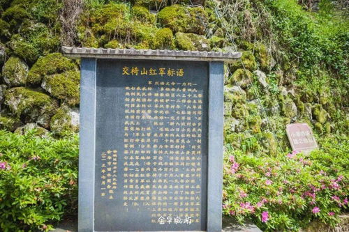 第一章：迷雾里的湖畔梦
