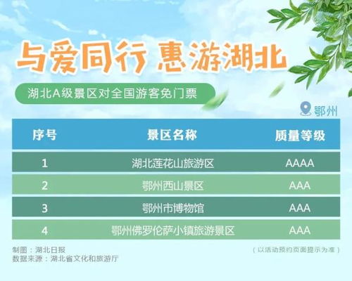三、竞逐解析与市场环境挑战