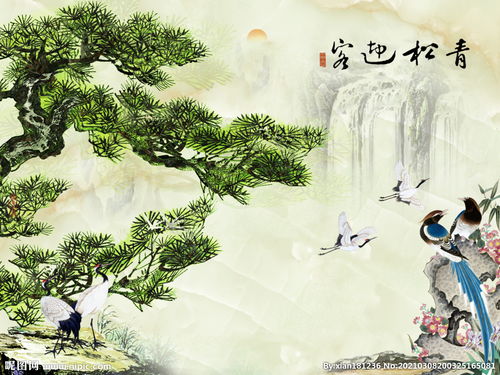 颜值即正义！