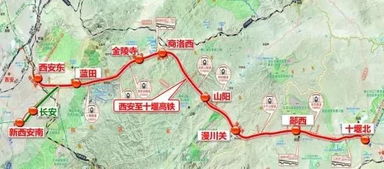 二、高铁之翼，畅行无忧：列车信息概览