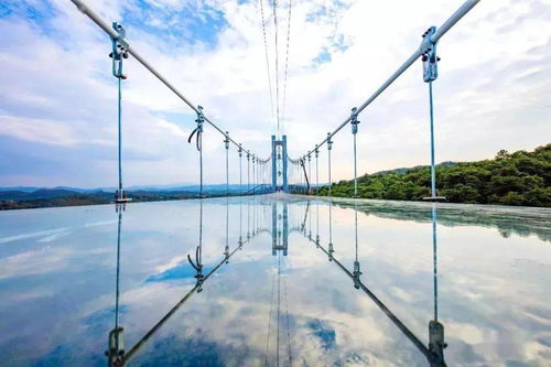 小插曲：阿婆的故事