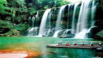 竹林较深处， 清凉一夏