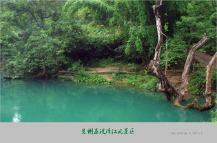 三、 其他未被损较差的较大型原始森林：较小众推荐