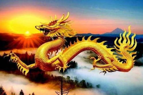 第一部分：屬龍人的天生驕傲與10月13日的特殊糾纏