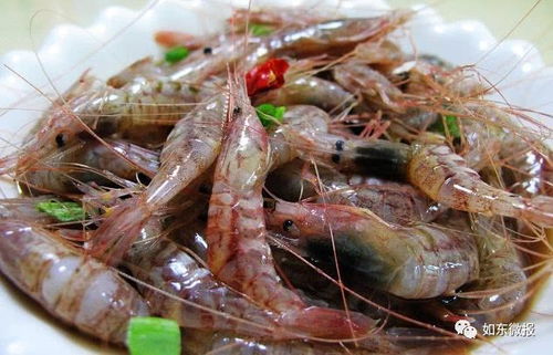 相思螺——爱情的味道？