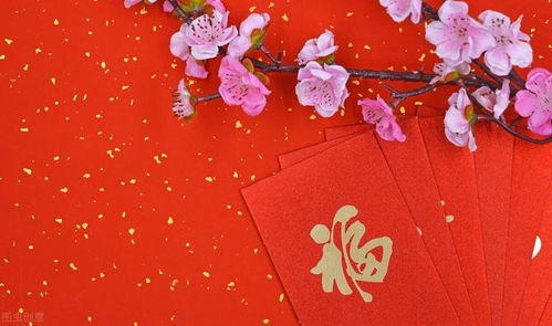 桃花运：小心驶得万年船…还是那句“缘来是你”