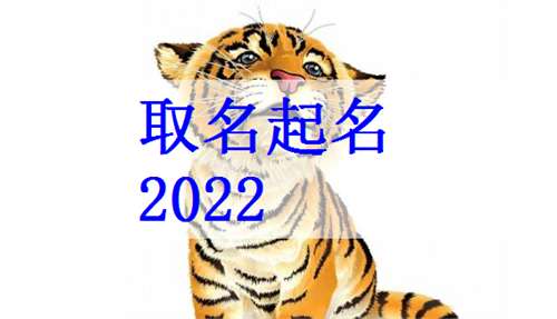 五、“禁忌”列表——先把坑踩掉再说话！🤦‍♀️🤦‍♂️🤦‍♀️