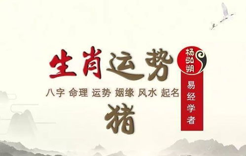 ：别做梦了