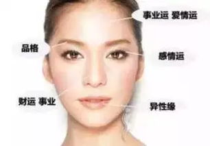 二、 面容之美：甜美与气质的融合