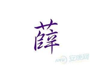 薛姓女孩名
