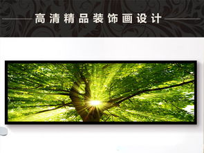 晨光下的游客：生活的摄影师
