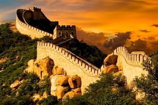 新鲜派景点的魅力