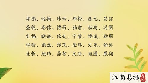 五、 更更多乱入式推荐（兼容并蓄）