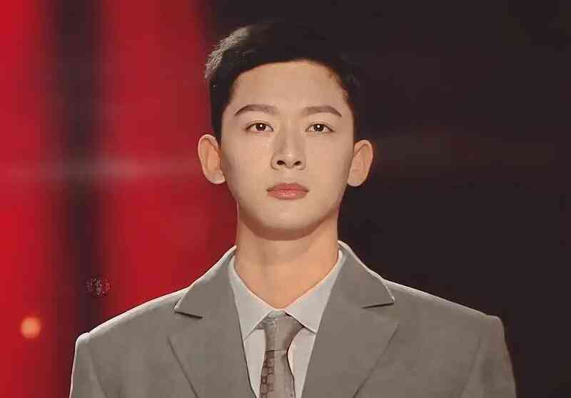 那些年我们追过的王迅作品