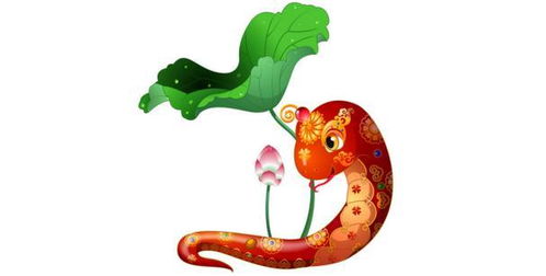 如何提升属蛇人每天的运势？