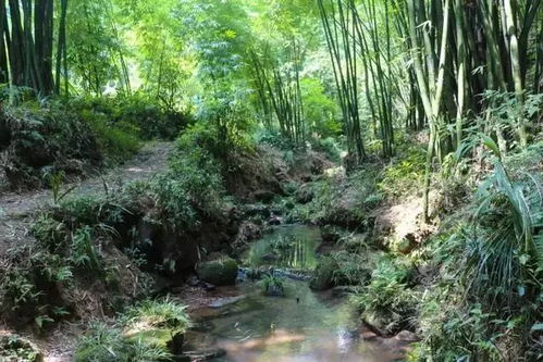八、 结束语（或者继续废话）