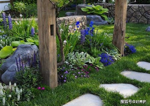 三、 植物杀手养成指南
