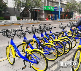 交通：公交车+共享单车=自由？
