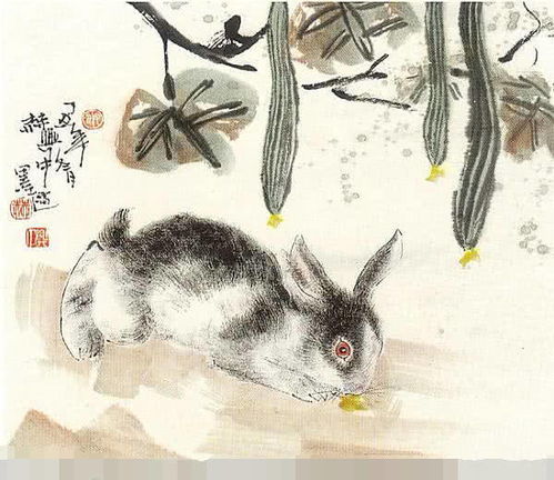木兔子属于哪种命格的人呢？