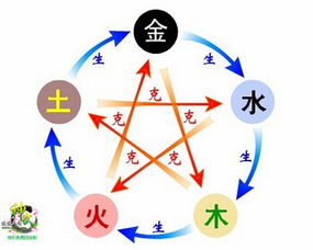 五行相合：关键在于“木”属性