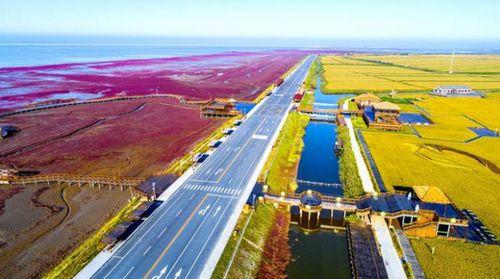 沈阳召唤：历史低语