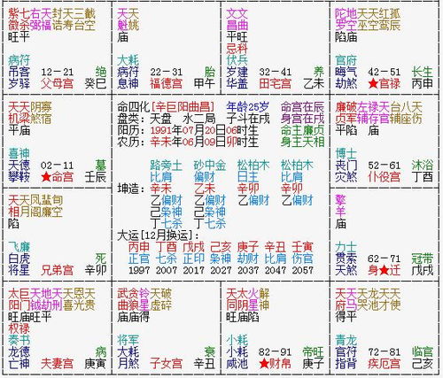 玉书轩八字命理解析，如何使用八字排盘官方免费版进行详细命理分析？