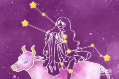 星之命究竟具体指的是什么含义或命运？