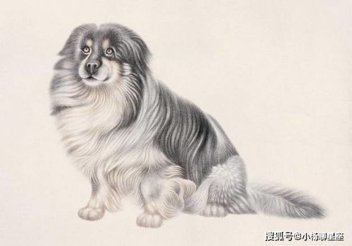 生肖狗和牛相配吗？狗啼牛唱打一生肖是什么意思？