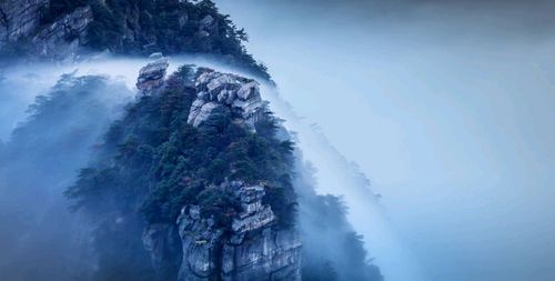 登庐山：云雾缭绕的山间风光