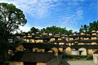 2、 第一站——东风韵（其实是个小山坡）