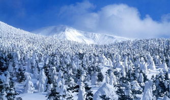 我的血泪史：那些年我被坑过的套餐