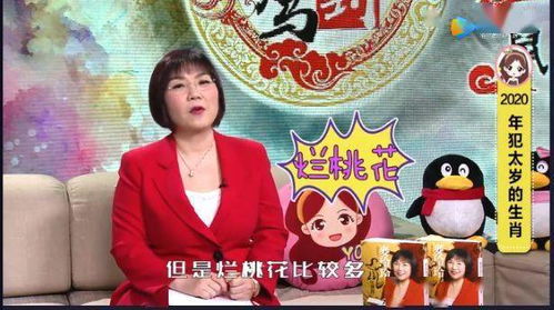 麦玲玲2026年生肖运势完整版免费测算龙年运势在哪里可以找到？