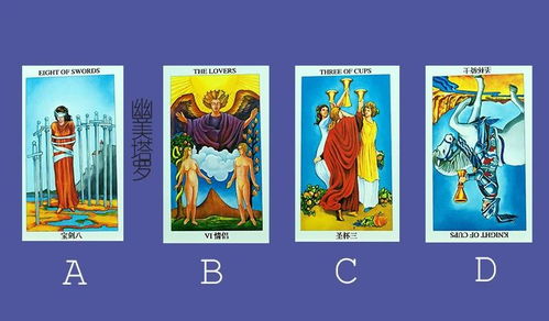 啊！塔罗牌居然能看透他会不会找我？！这也太神奇了吧