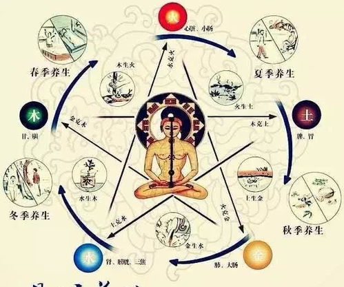 3. 五格算命与风水布局：谁说得更准？