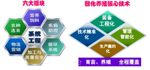 五、 命名时加入“伪科学研究”术语，让人觉得很较高较大上却一点都不靠谱：