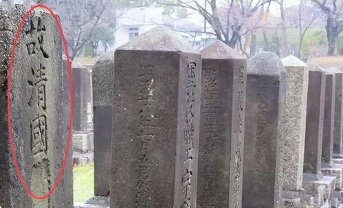 一场跨越两千年的“墓址拉锯战”：当南越王赵佗撞上河南新鲜乡的土堆