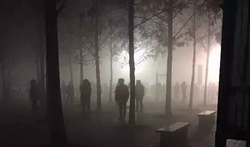 雨夜奇遇：废弃古宅惊魂夜，  幽魂缠身，命悬一线