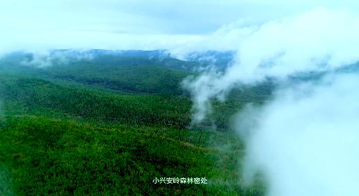 中俄民族风情园：一站式体验中俄文化底蕴