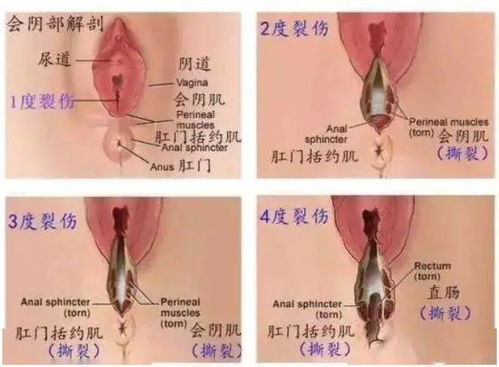婚姻风水知识,婚姻风水中的解释