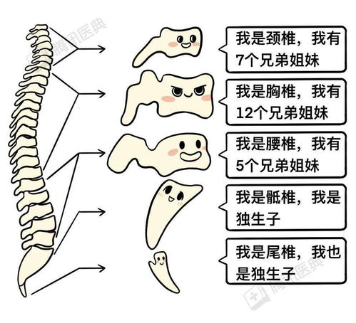 鸟占与微知着