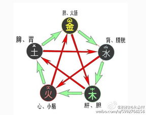 八字五行取名时，是看部首五行还是数理五行呢？